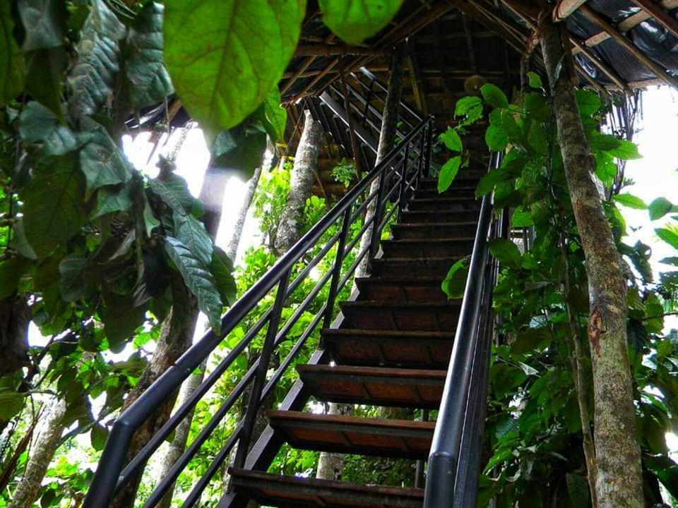 Greens Tree House & Wood House Sultan Bathery Exterior photo