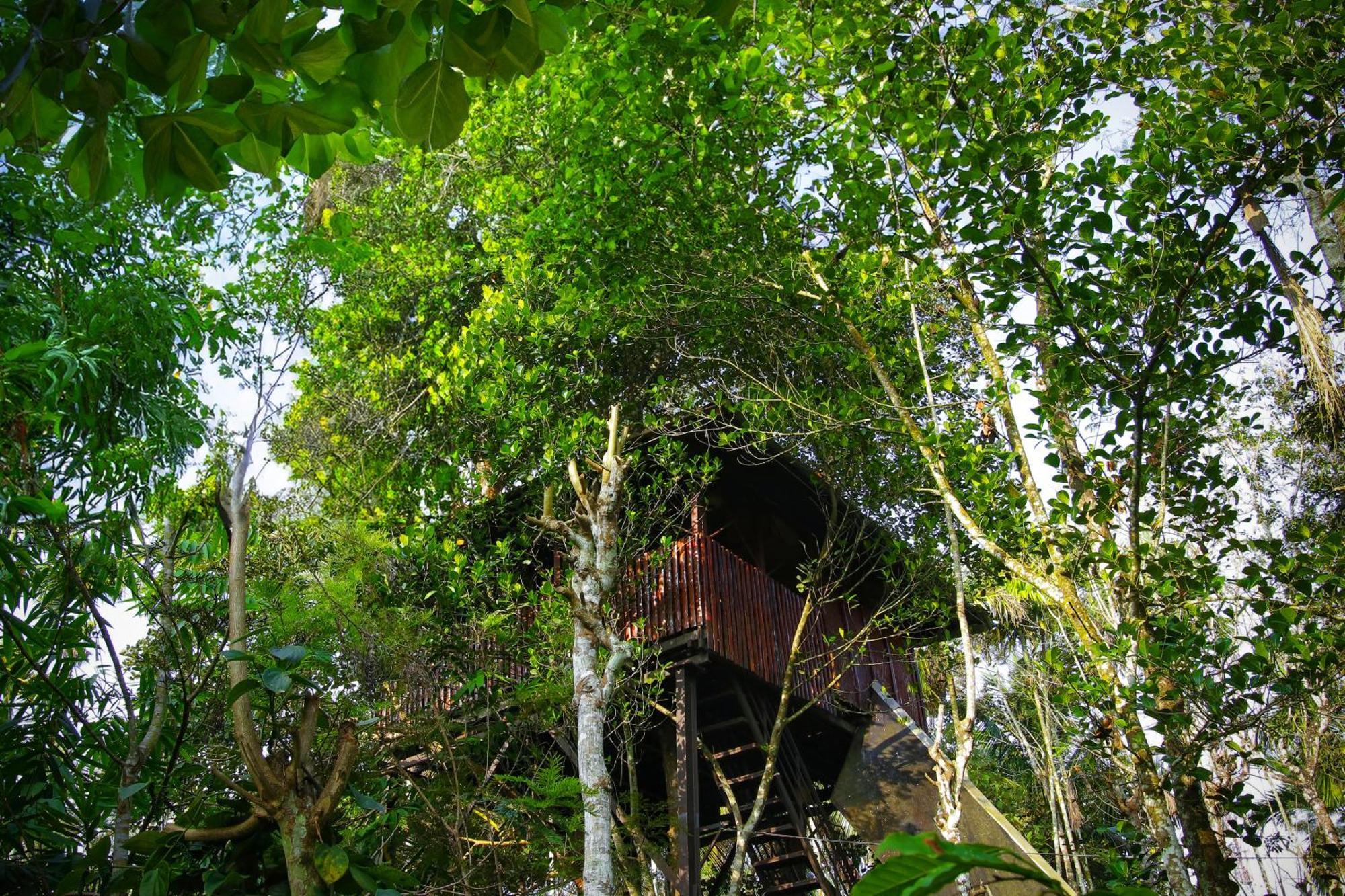 Greens Tree House & Wood House Sultan Bathery Exterior photo