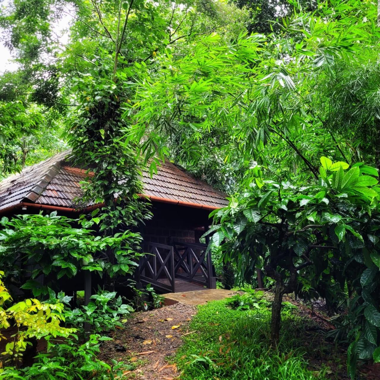 Greens Tree House & Wood House Sultan Bathery Exterior photo