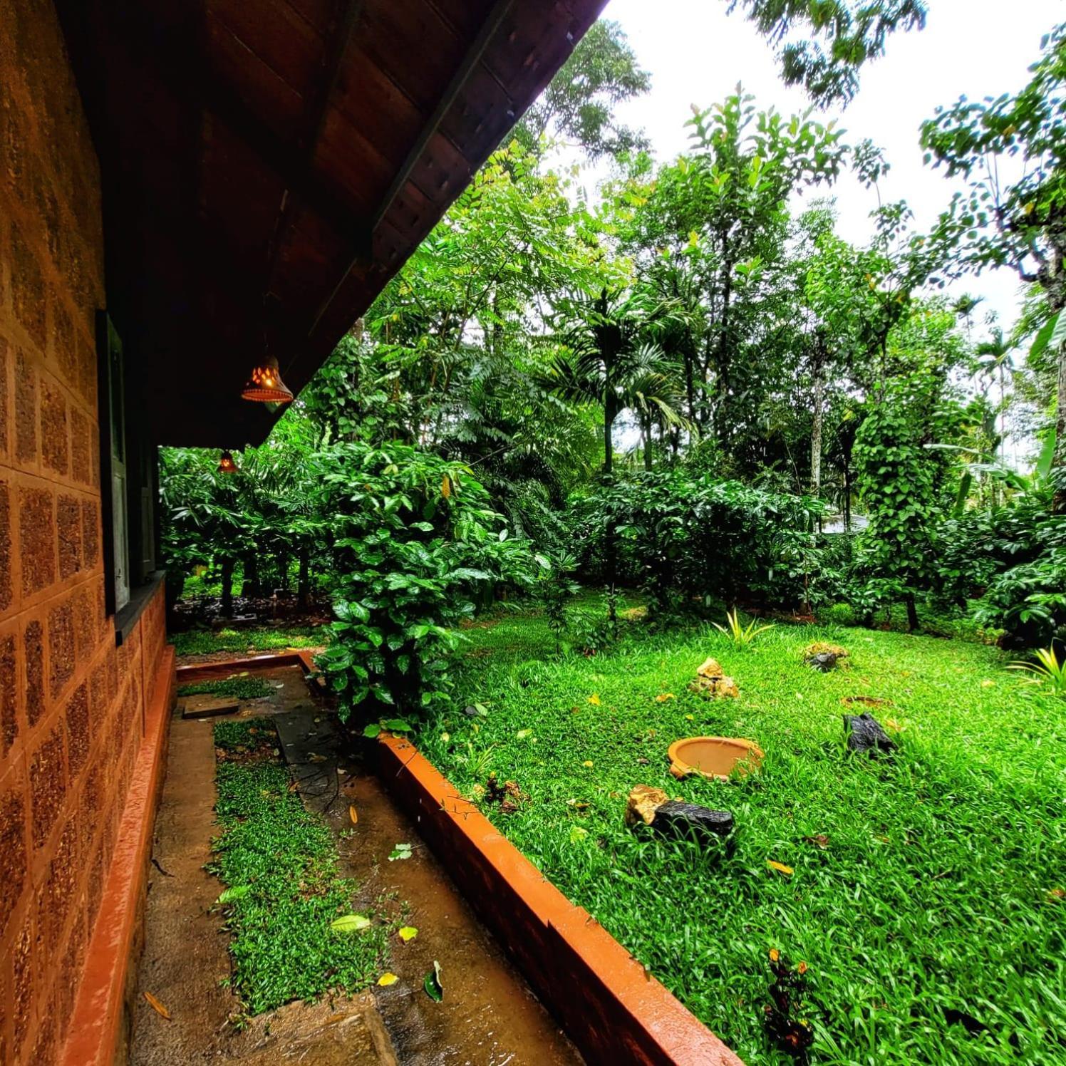 Greens Tree House & Wood House Sultan Bathery Exterior photo