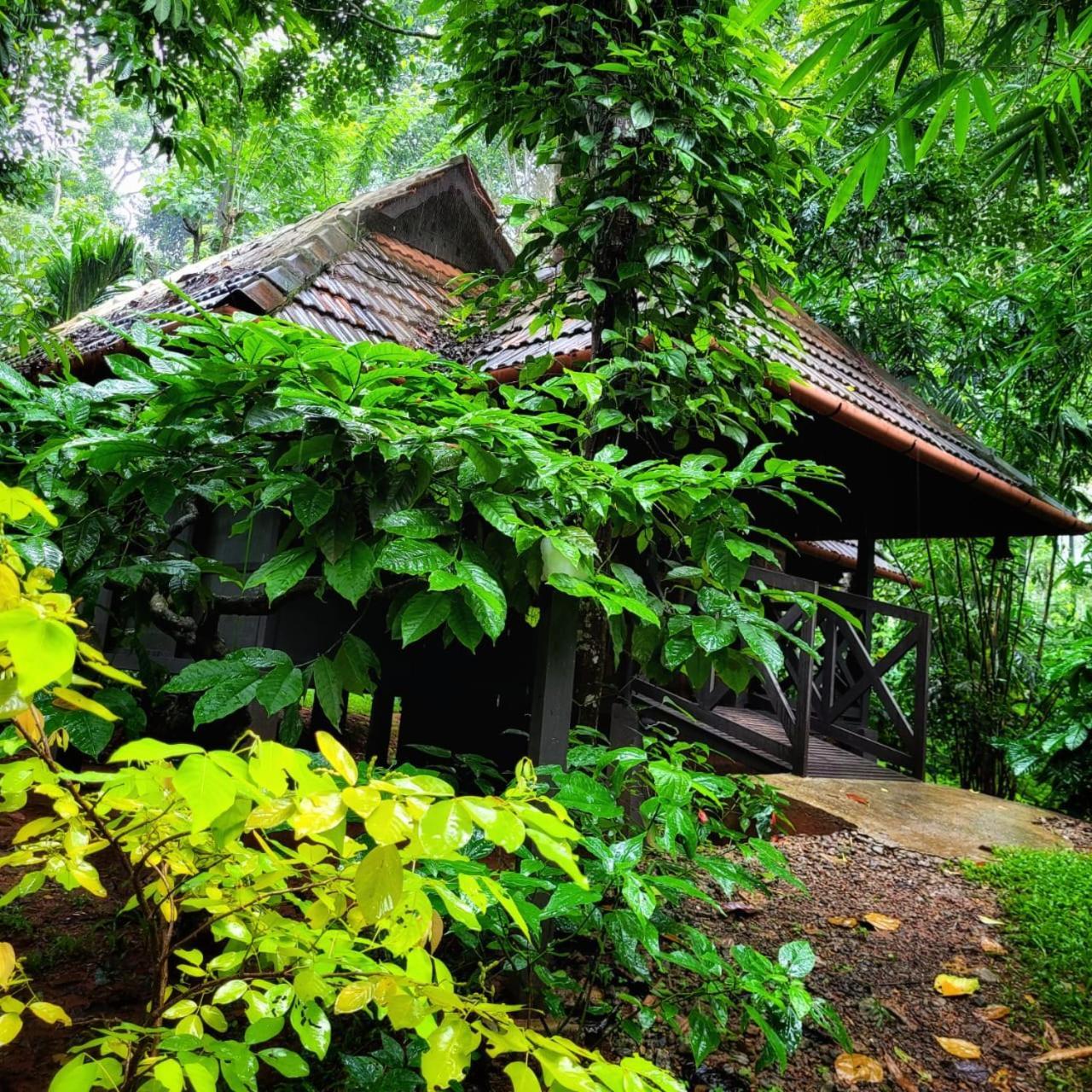 Greens Tree House & Wood House Sultan Bathery Exterior photo