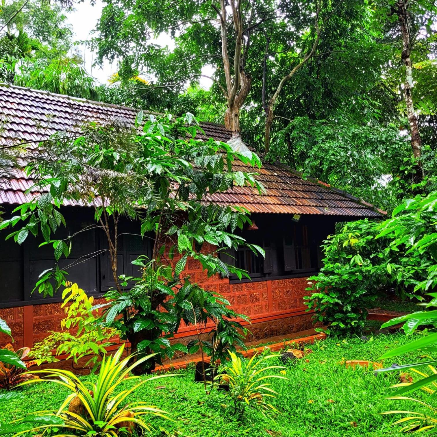 Greens Tree House & Wood House Sultan Bathery Exterior photo