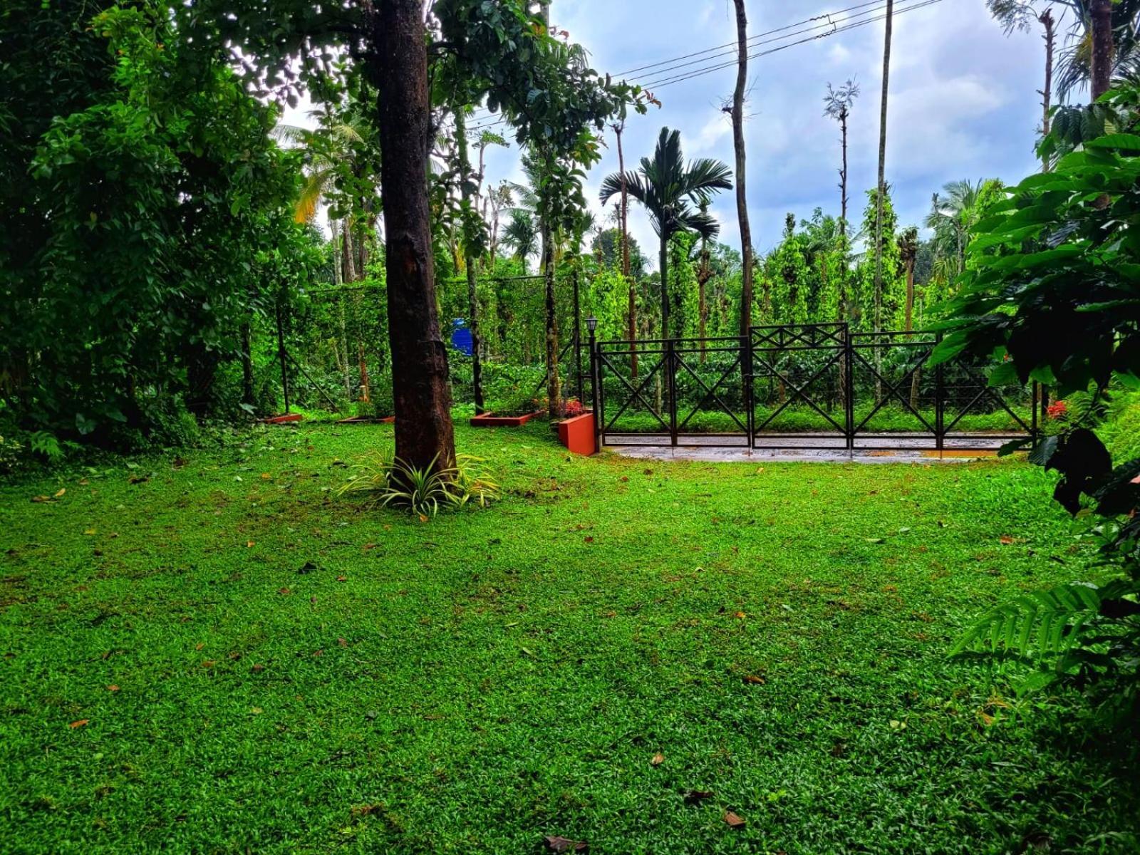 Greens Tree House & Wood House Sultan Bathery Exterior photo