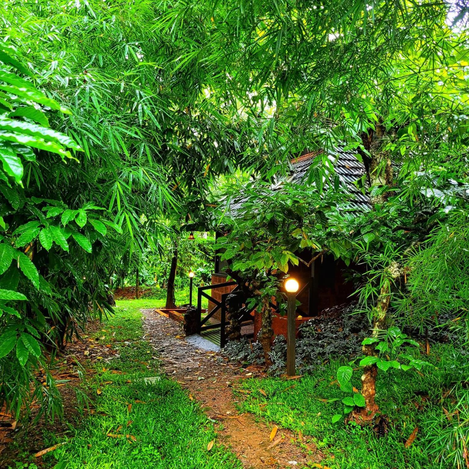 Greens Tree House & Wood House Sultan Bathery Exterior photo
